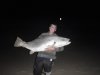 Young Yakker's Mulloway